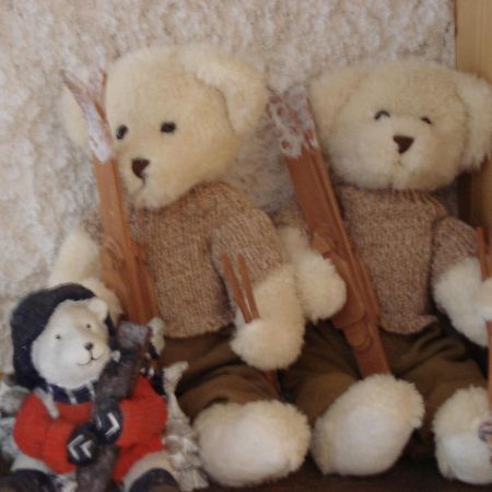 Petit Ours Apartamento Villars-sur-Ollon Exterior foto