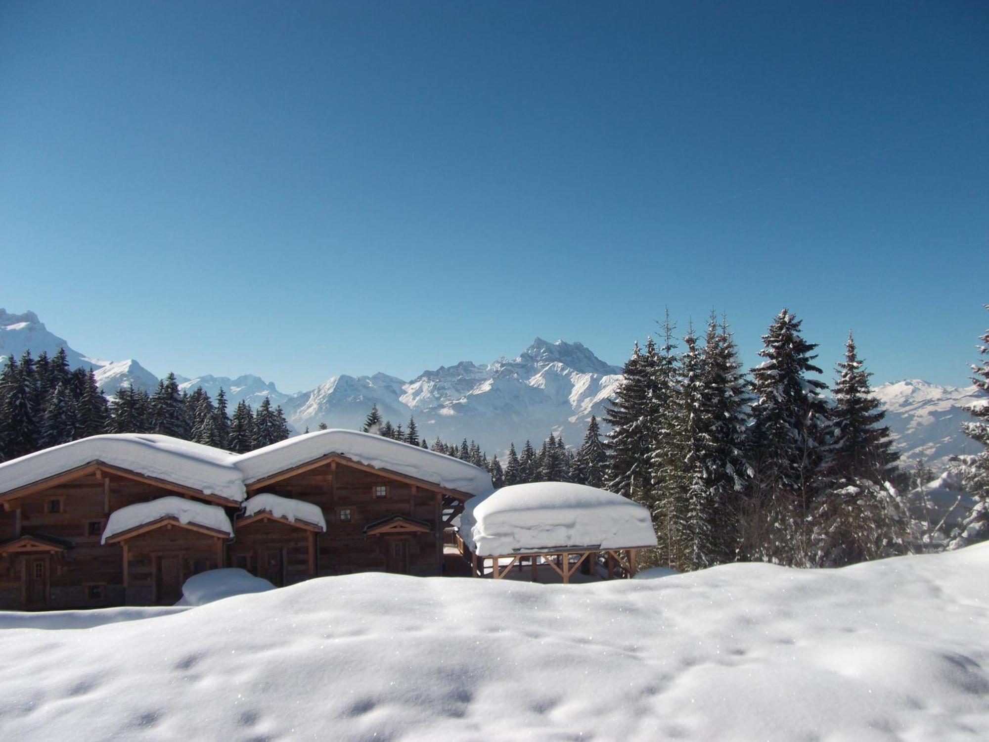 Petit Ours Apartamento Villars-sur-Ollon Exterior foto